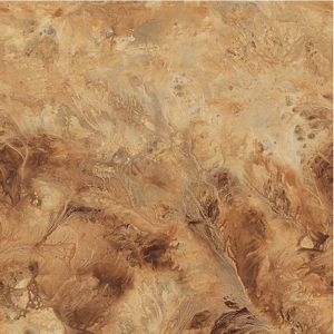5807087 Onyx Tortoise Paper Illusion Faux Finish Wallpaper